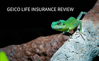 life insurance geico, geico life insurance review