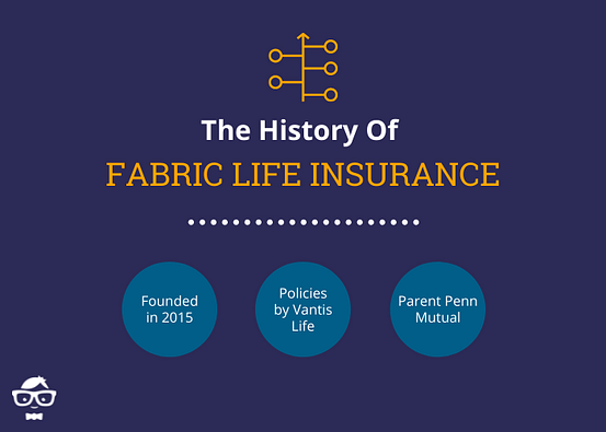 History of Fabric Life Insurance